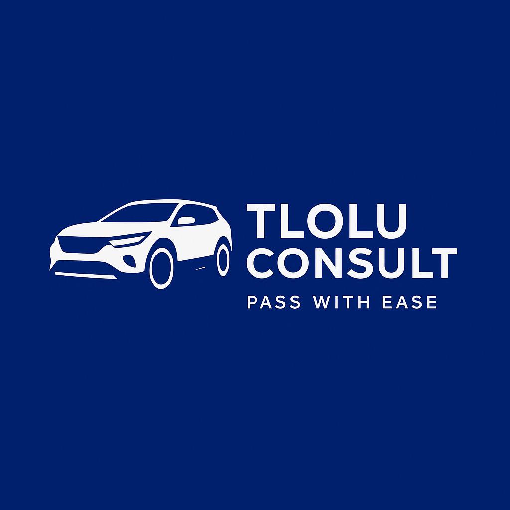 Logo: TLOLU CONSULT